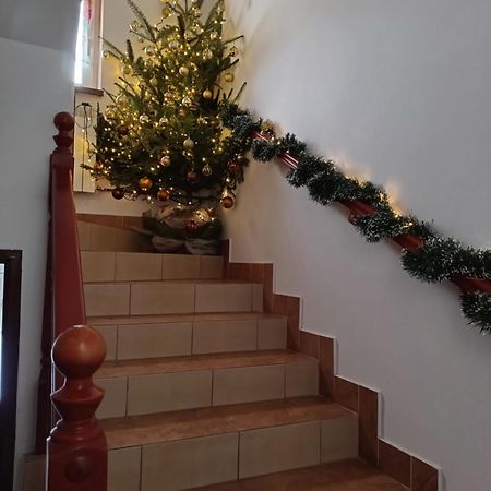 Noclegi U Brody Hoczew Exteriér fotografie