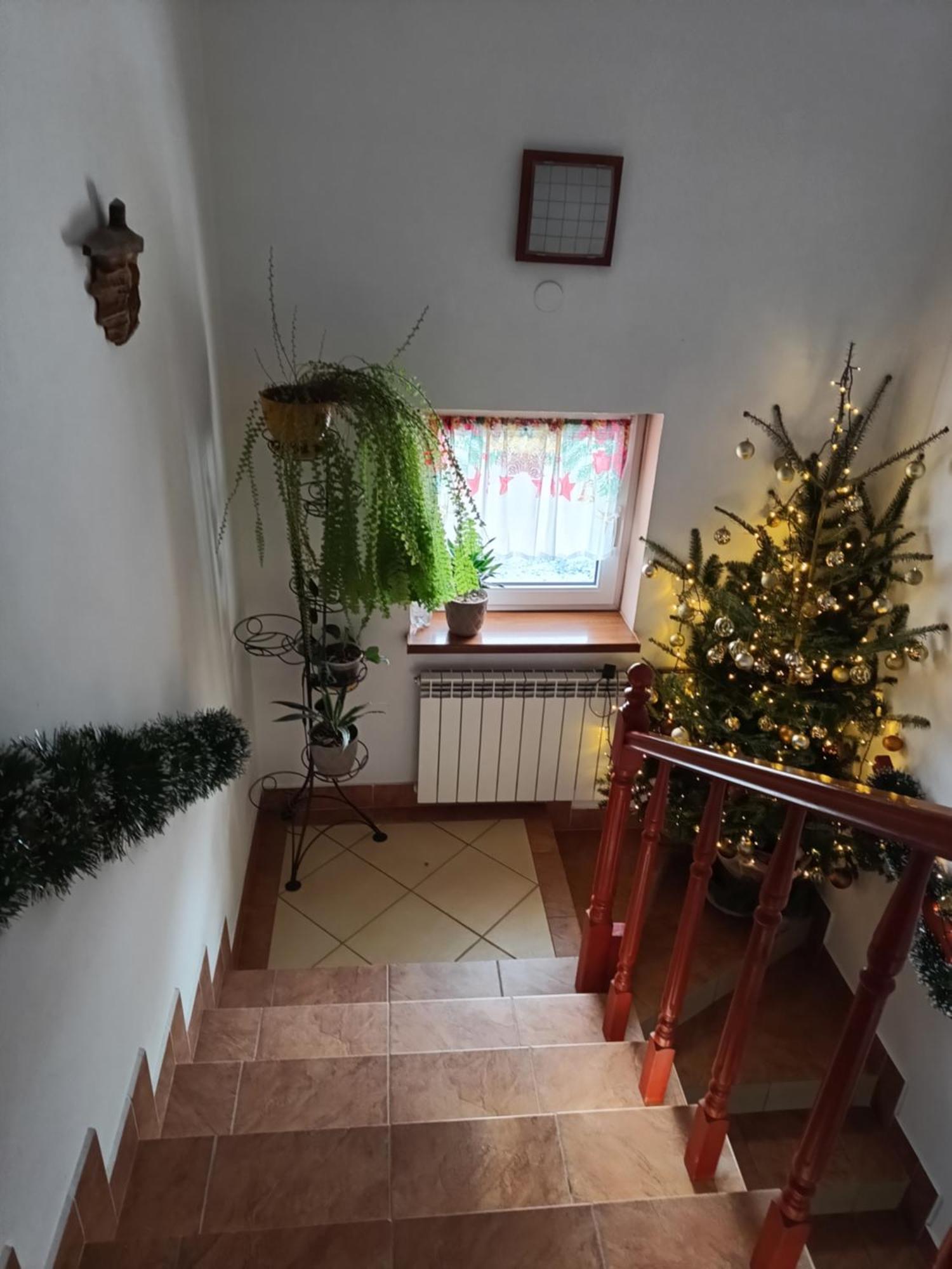 Noclegi U Brody Hoczew Exteriér fotografie
